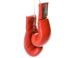hangingboxing