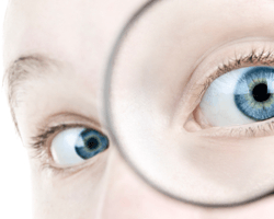 lookingglass