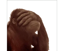 shameful-monkey