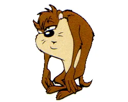 taz-wake-up