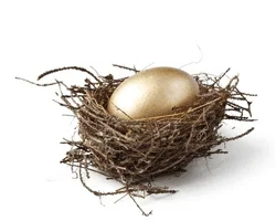 goldenegg