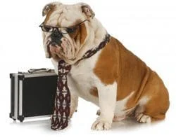 trainyourboss