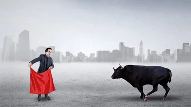 focusedbull