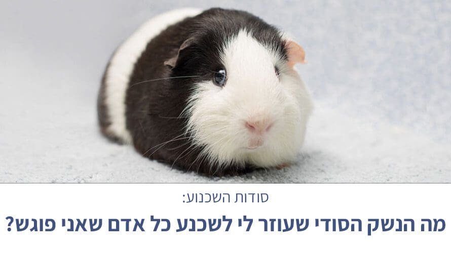 לשכנע כל אדם