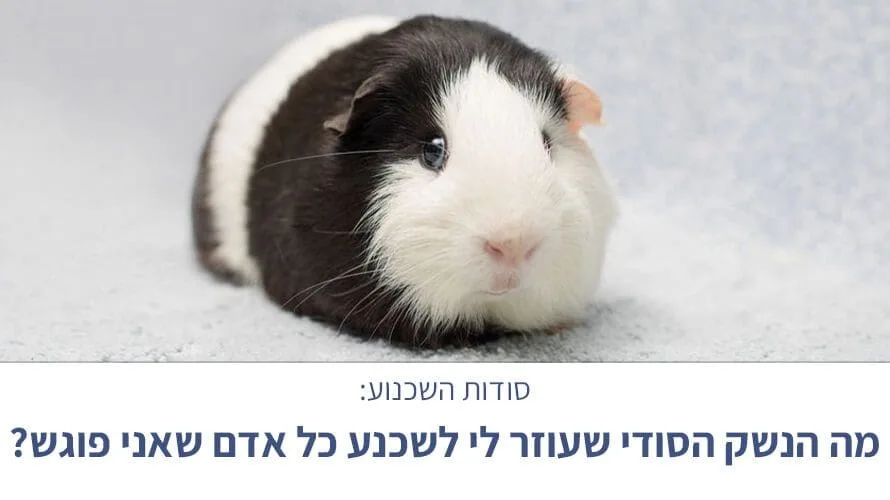 לשכנע כל אדם