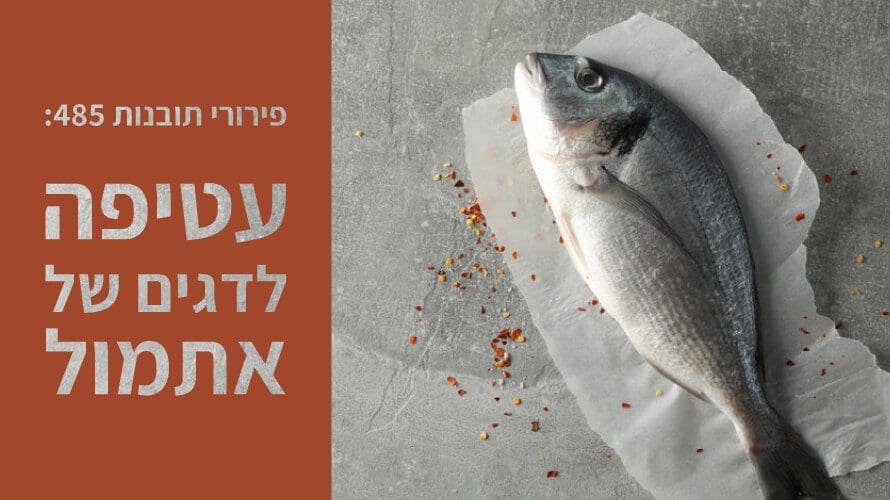 fishonpaper