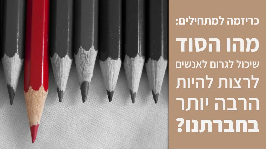 כריזמה למתחילים