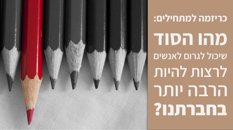 כריזמה למתחילים