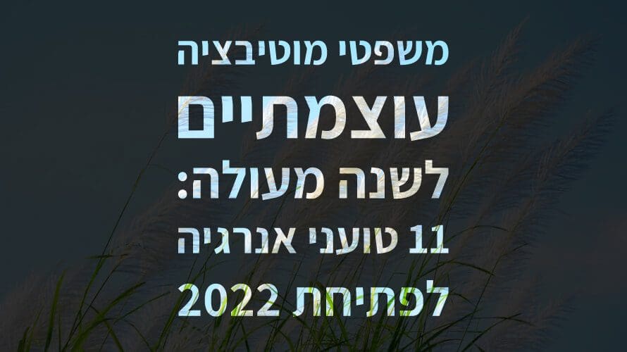 משפטי מוטיבציה