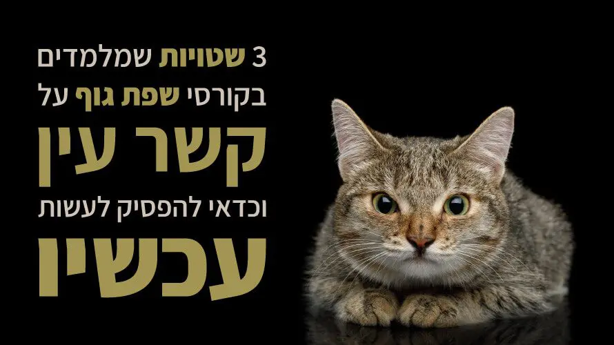 שפת גוף קשר עין