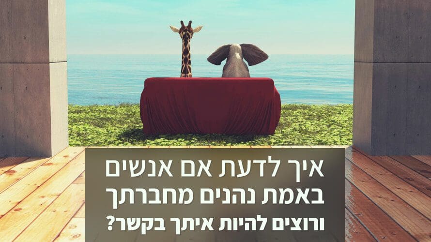 מערכות יחסים