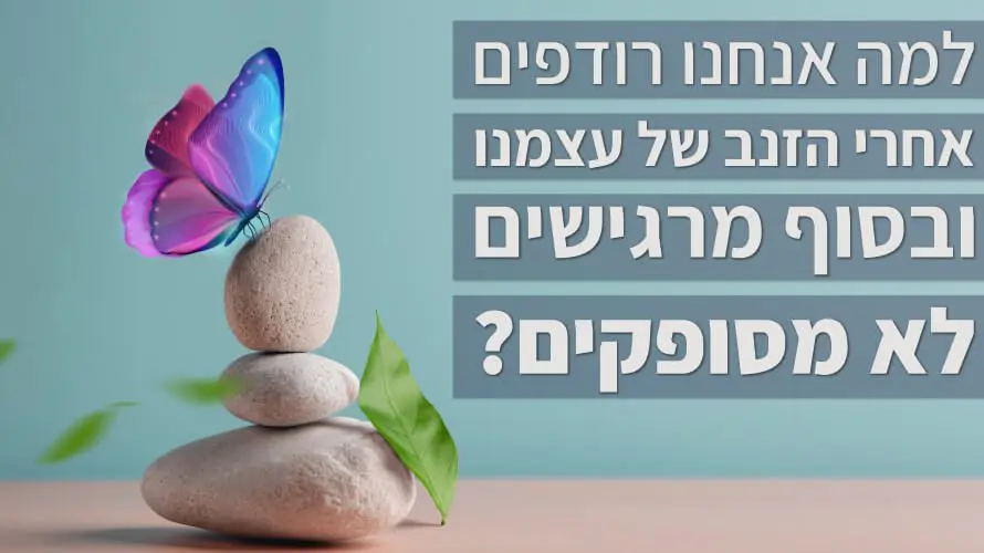 איזון עבודה חיים