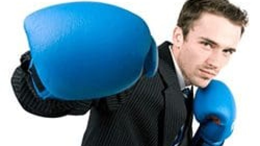 boxer