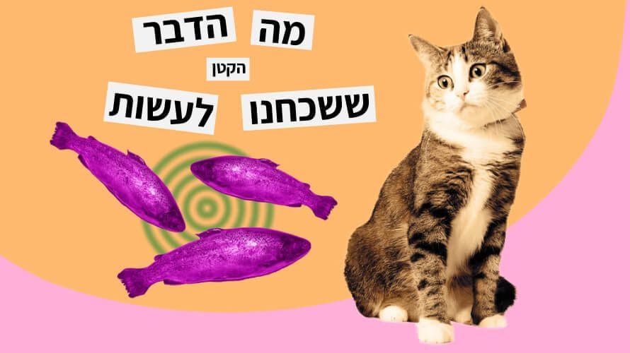 כריזמטיים באמת כריזמטיים באמת