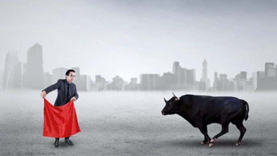 focusedbull