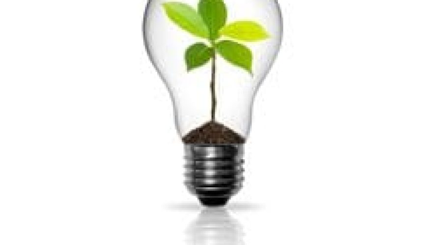 ideadbulb