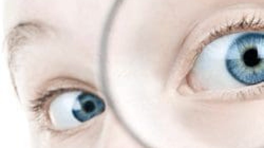 lookingglass