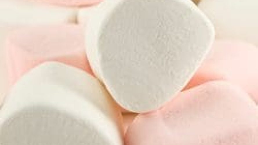 marshmallow marshmallow