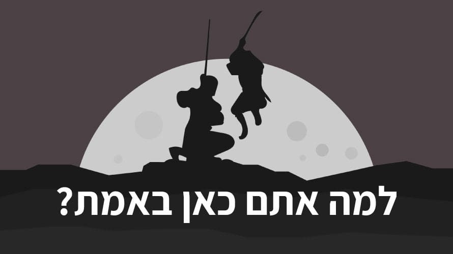 ninjasfighting ninjasfighting