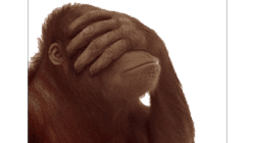 shameful-monkey