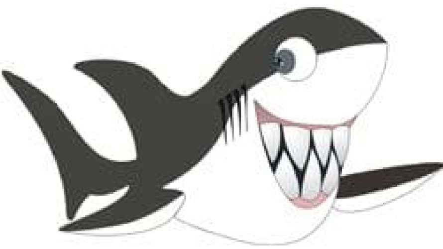 shark shark