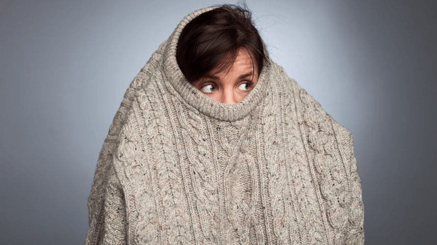 shysweater
