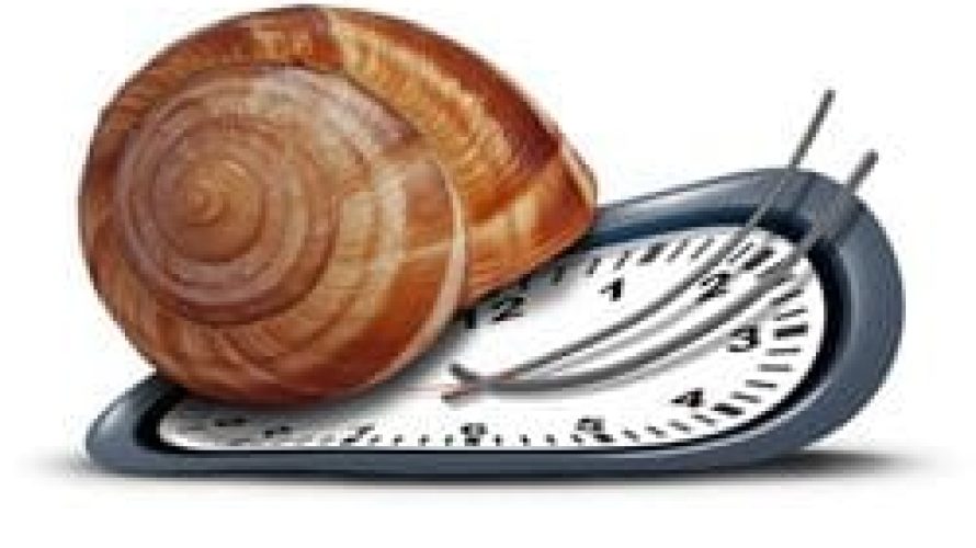 timesnail