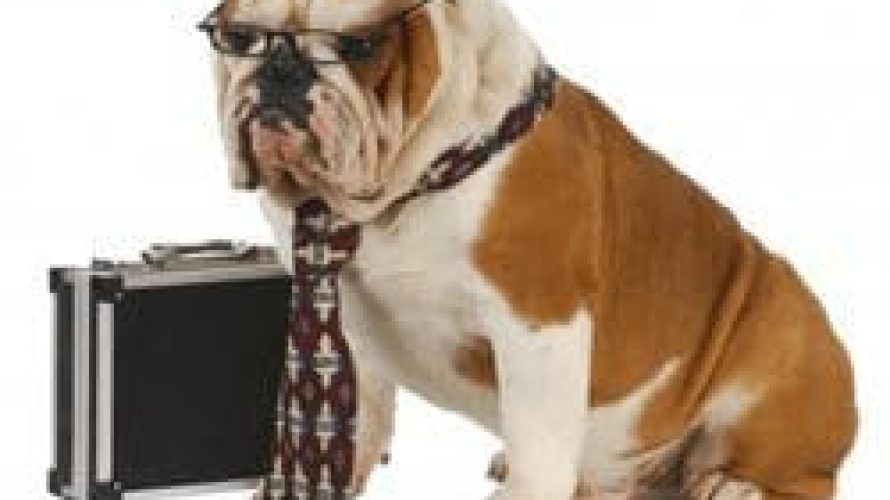 trainyourboss