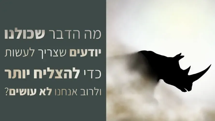 מומנט התנועה מומנט התנועה