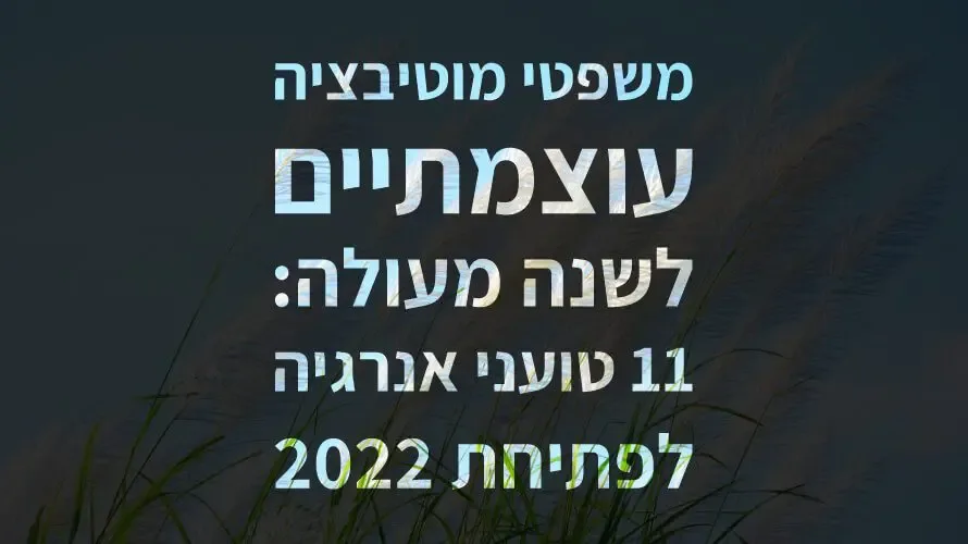 משפטי מוטיבציה